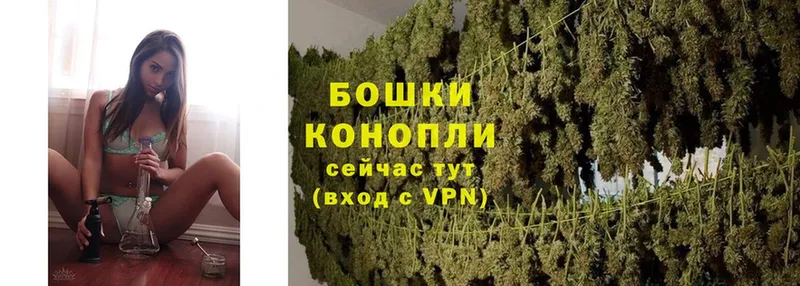 Каннабис OG Kush  Емва 